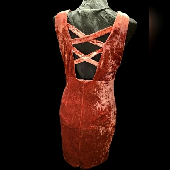 Molly Green Large Pink Velvet sleeveless Mini Dress - Picture 14 of 14